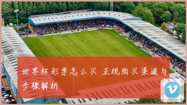 世界杯彩票怎么买 正规购买渠道与步骤解析