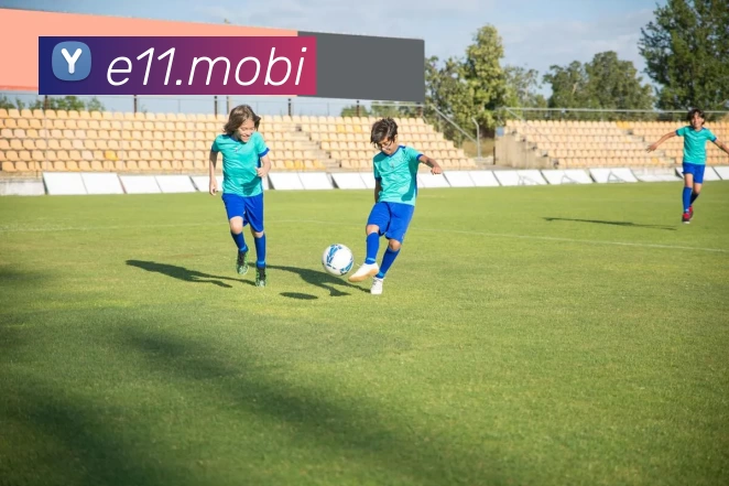 开云手机平台服务体系